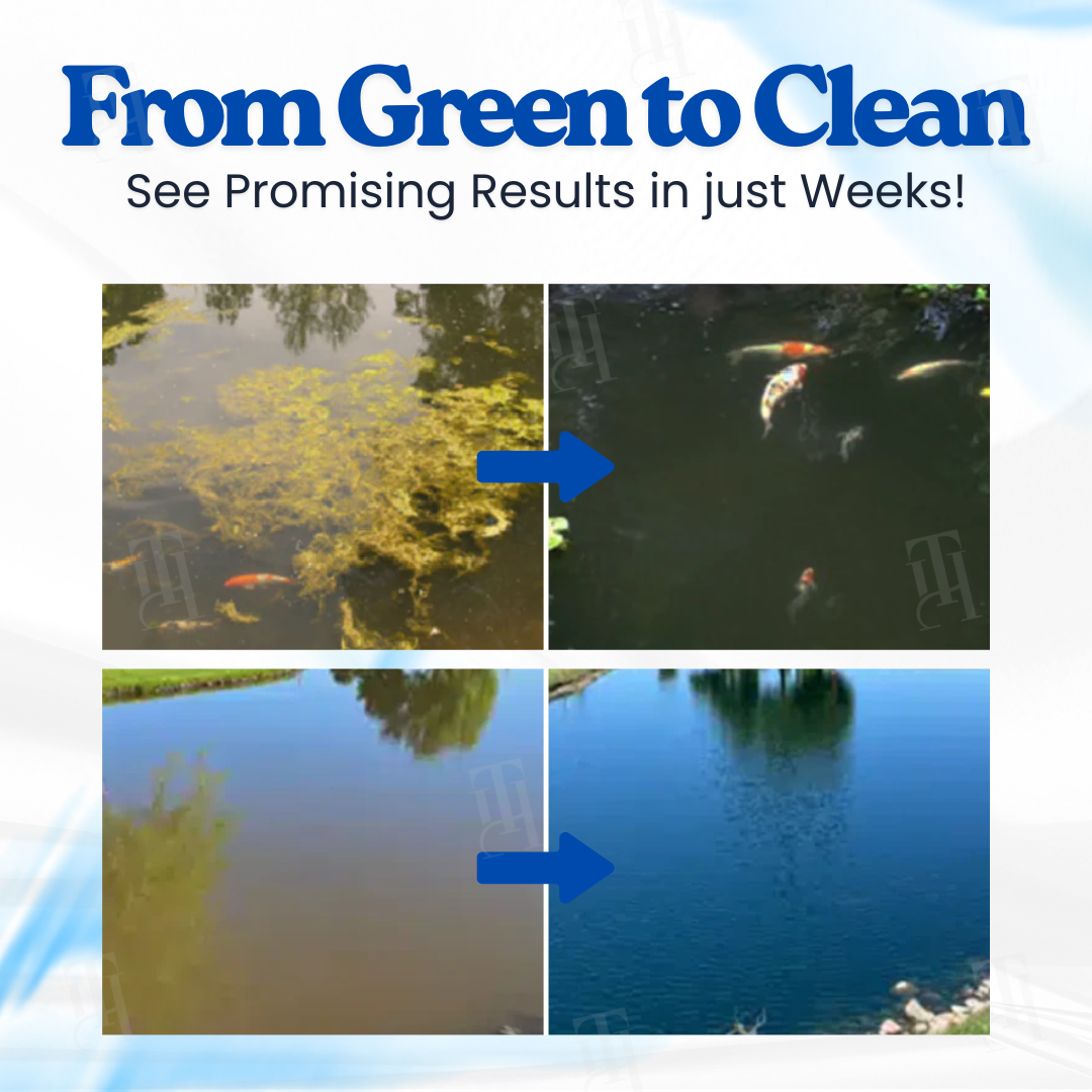 AEXZR® Aqua-Guardian Pro Formula– End Algae Nightmares, Restore Your Pond’s Beauty Fast!